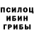 Галлюциногенные грибы Cubensis FavoredBlessed