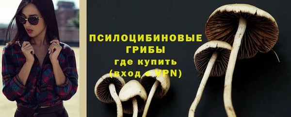 PSILOCYBIN Верхний Тагил