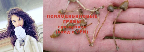 PSILOCYBIN Верхний Тагил