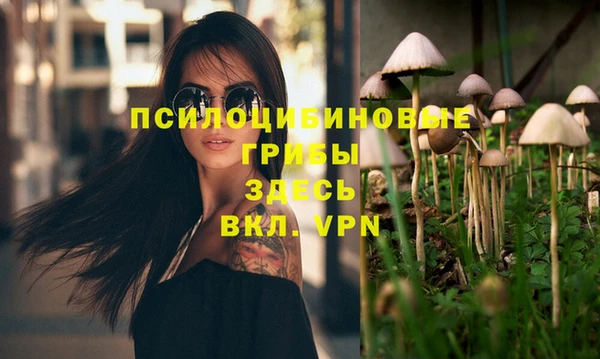 PSILOCYBIN Верхний Тагил