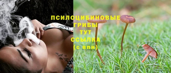 PSILOCYBIN Верхний Тагил