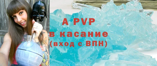 PSILOCYBIN Верхний Тагил