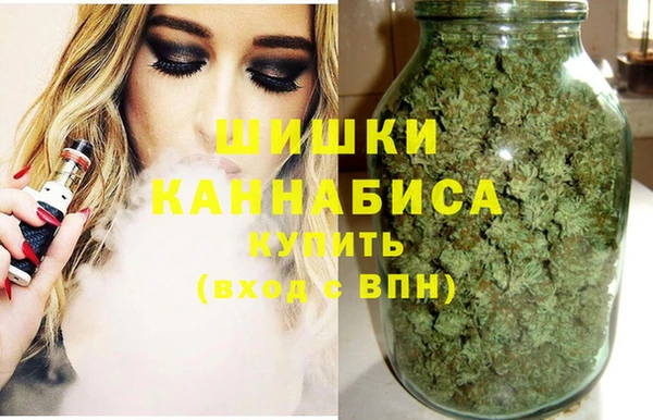 spice Рославль