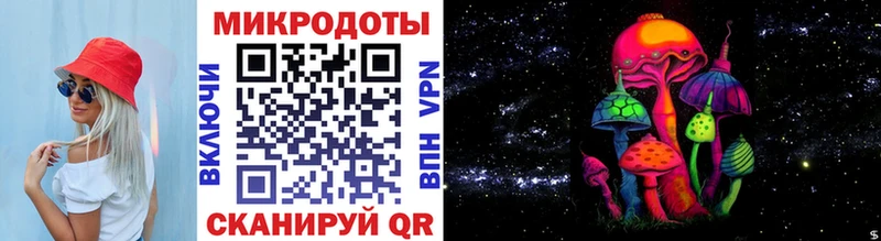 наркота  Воркута  Псилоцибиновые грибы Psilocybine cubensis 