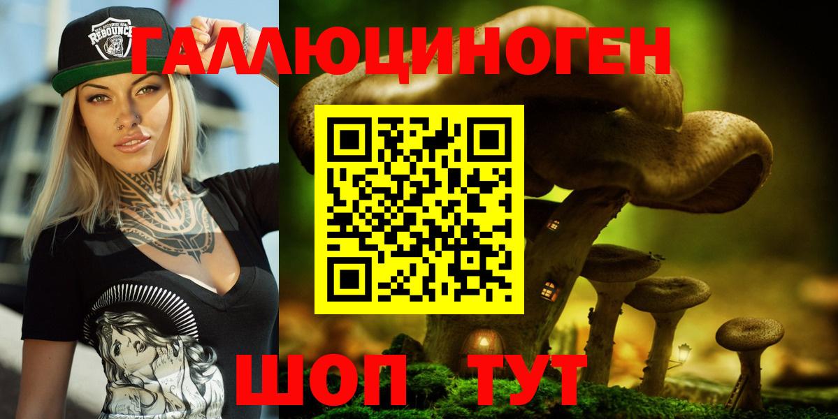 Псилоцибиновые грибы Psilocybine cubensis Воркута