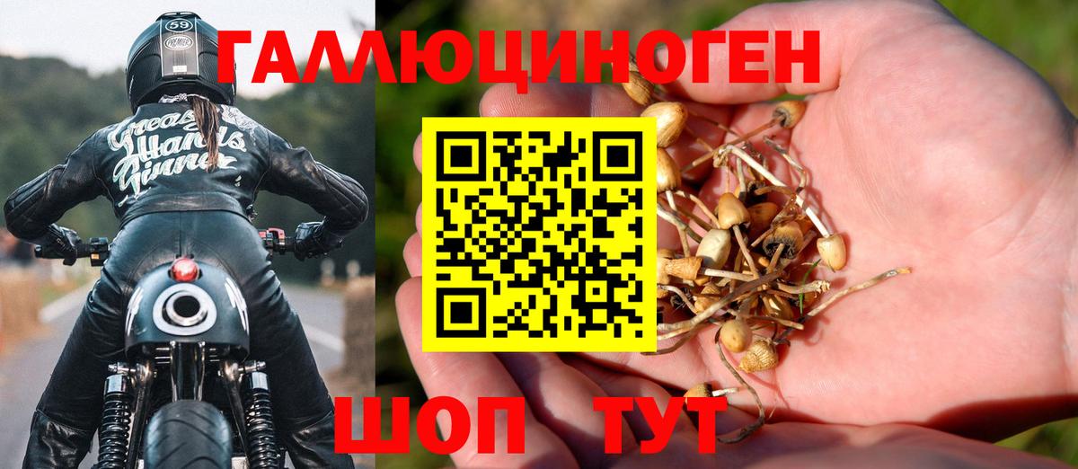 где продают наркотики  Вход с VPN  Воркута  Псилоцибиновые грибы Cubensis 